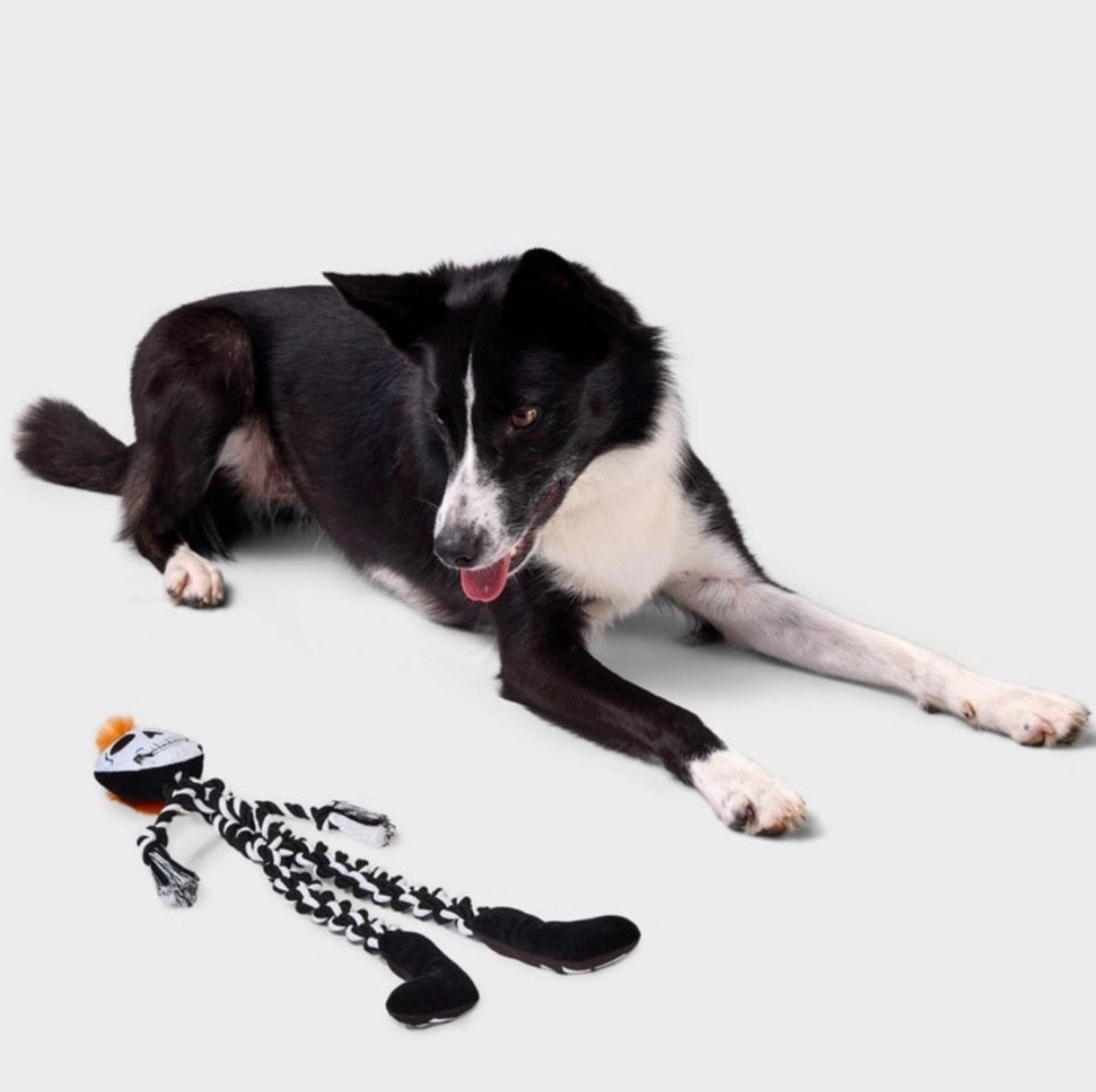 NWT Boots & Barkley Halloween Skeleton Rope Dog Toy • Squeaky Plush • 23 Inch