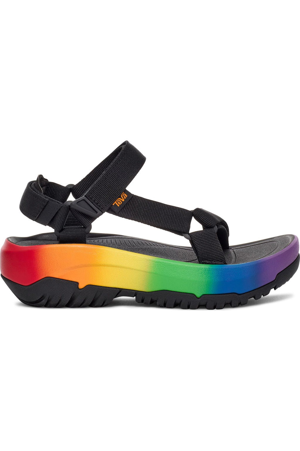 Black sandal on a white background