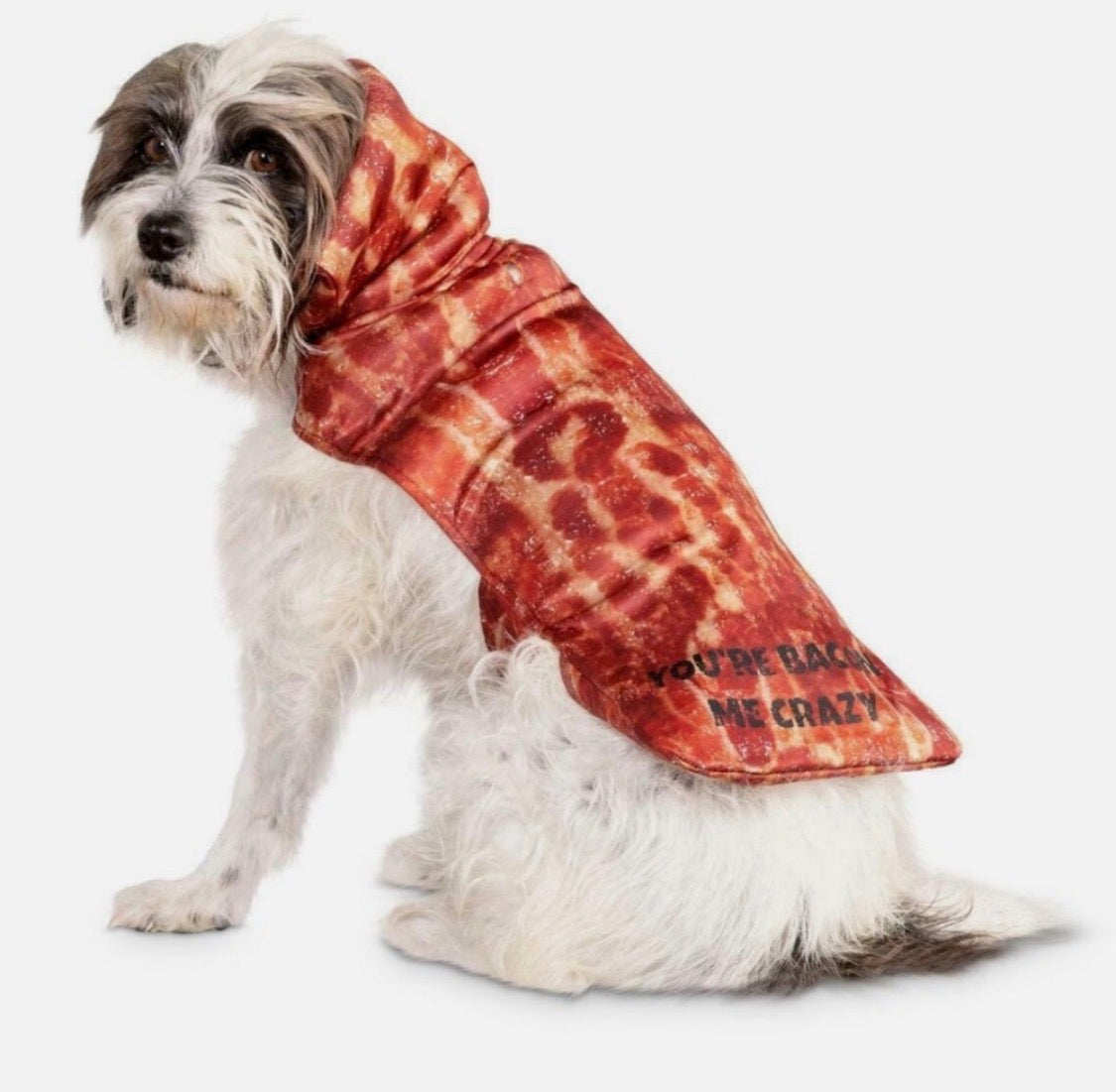 A small white and gray dog wearing a red and orange tie-dye bacon-print pet hoodie with the text 'YOU'BE BACK IN ME CRAZY' on the front, photographed against a plain white background.