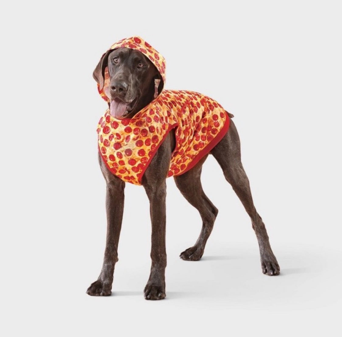 A dark brown dog wearing a hooded pizza-print pet coat, standing against a light gray studio background.