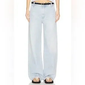 AGOLDE Shona Trouser Jeans • Border Light Blue Wash • Size 29 • NWT